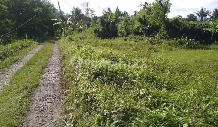 Jual Tanah di Bogir Barat