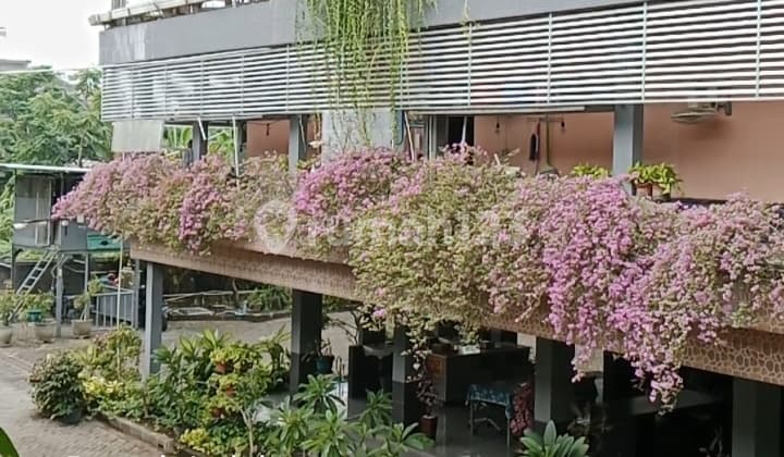 Active Boarding House Ready to Operate