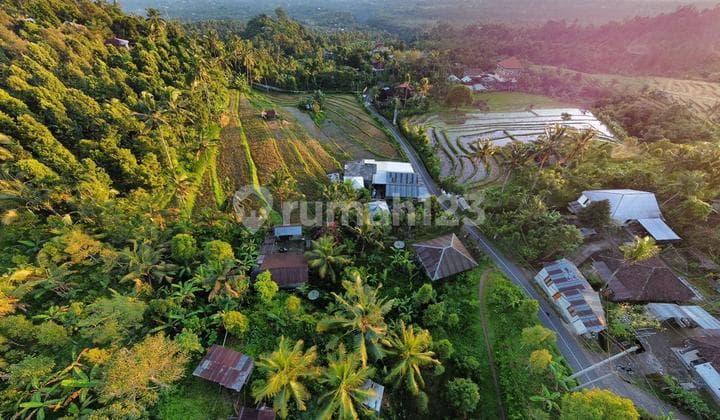 Tanah Eksklusif di Kawasan Wisata Bali Utara - Potensi Investasi!
