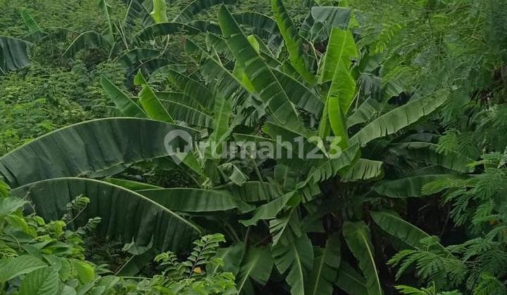 Dijual Tanah Industri