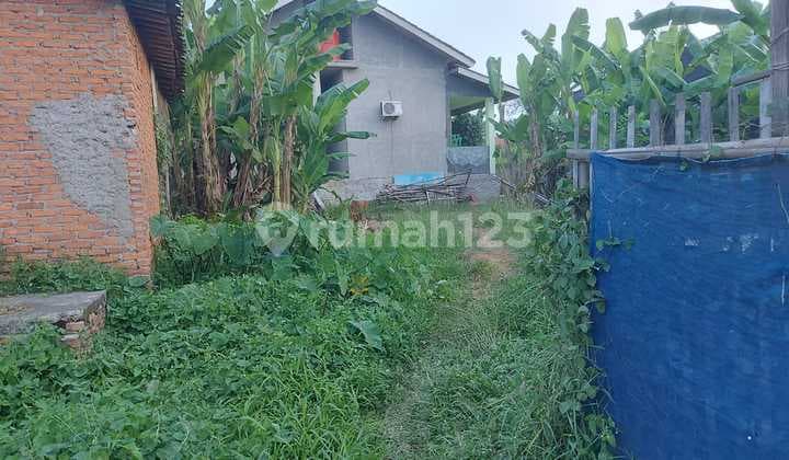 Tanah (Bu) Dekat Kampus Presiden University, Cikarang, Cocok untuk Investasi, Bebas Banjir