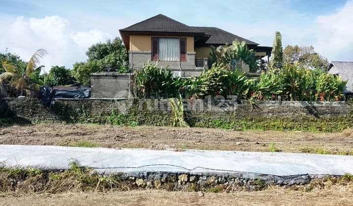 Tanah Kavling Murah di Dalung Cocok untuk Investasi