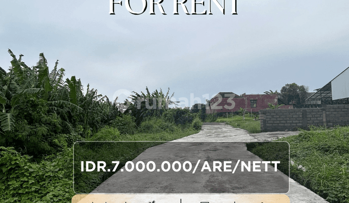 Tanah Leasehold 20 Tahun Murah di Dalung Dekat Canggu