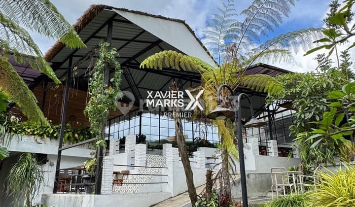 Active Cafe and Aesthetic Villa for Sale in Bulukerto, Bumiaji, Batu