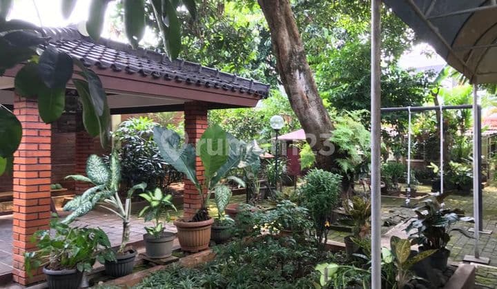 For Sale, 2 Houses, Very Well-Maintained, Back-to-Back Model