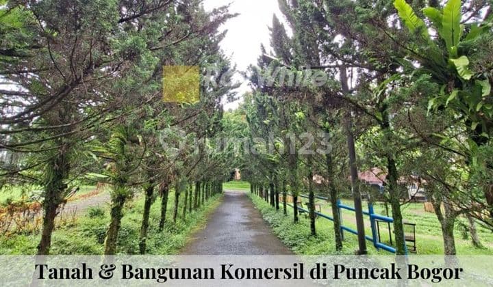 Dijual Tanah dan Bangunan Puncak - Cisarua, Bogor.