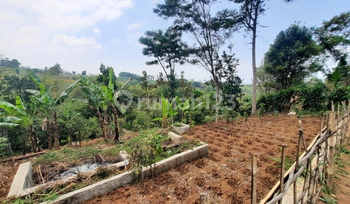 Tanah Kavling Siap Bangun di Cipadung Bandung 2 Juta Per Meter