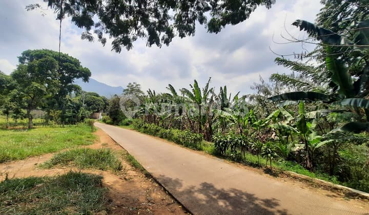 Dekat Jl Raya Cipadung! Kavling Padat Siap Bangun di Palasari