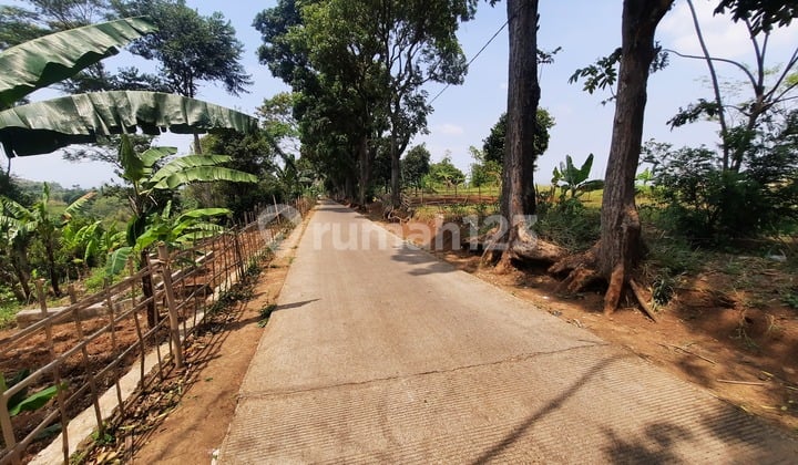 Land for Sale in Palasari, Bandung Near UIN Campus