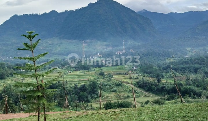 Kavling Hanjawong Legalitas Jelas Lingkungan Nyaman