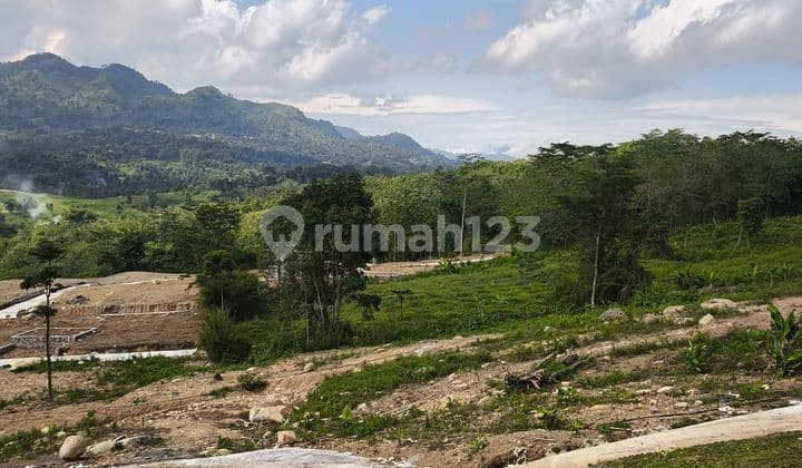 European-Style Plot of Land Ideal for Investment