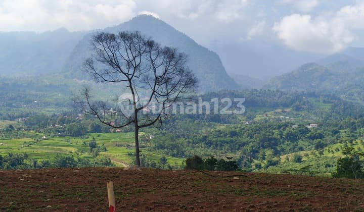 Tanah Murah Bernuansa Eropa Classic Dekat dengan Destinasi Wisata