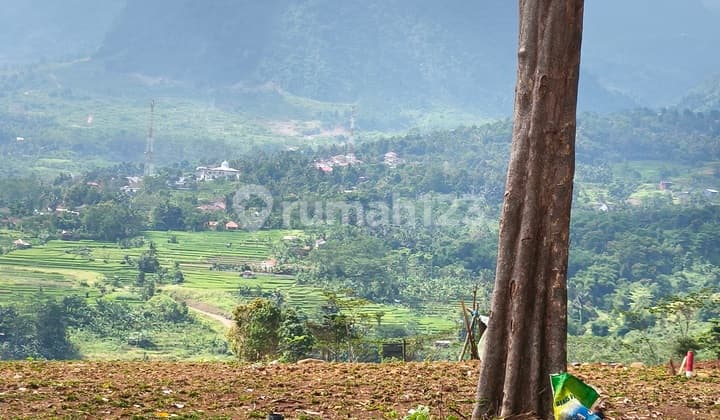 Tanah Kavling Murah Bernuansa Eropa Classic SHM 900.0M² di Bogor