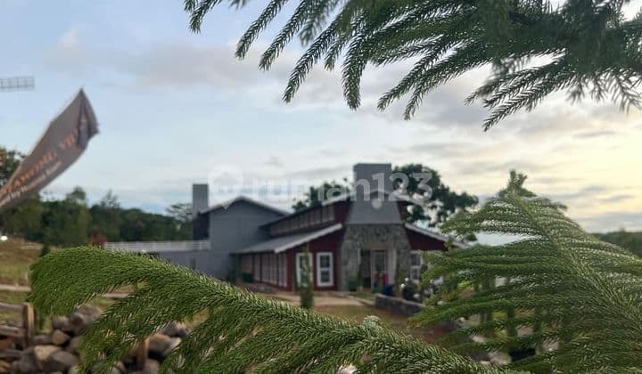 Tanah Murah Bernuansa Eropa Classic Sertifikat SHM Bebas Banjir