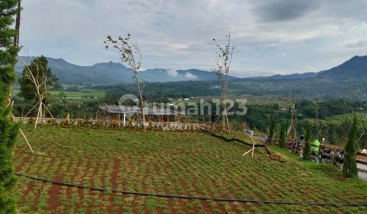 Tanah Murah Asri Sejuk View Pegunungan Dekat Area Wisata Free SHM