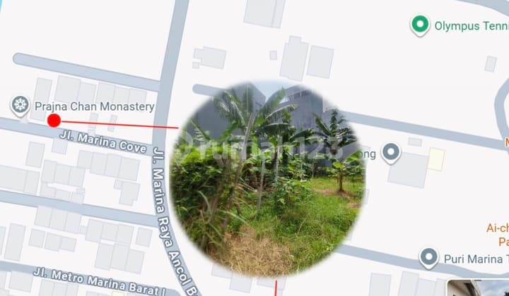 Bu! Jual Kilat Kavling Premium Marina Cove Ancol | Luas 153 M² | Harga Dibawah NJOP