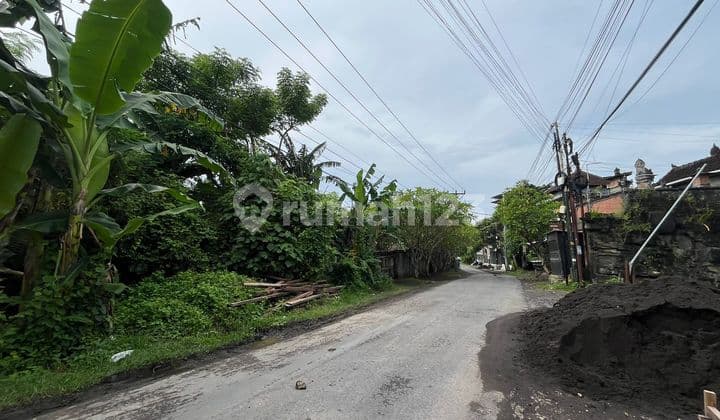 Tanah Strategis di Jalan Utama di Tumbak Bayuh, Canggu