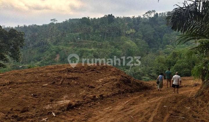 Lahan Premium 38 Are, View Lembah di Sebatu
