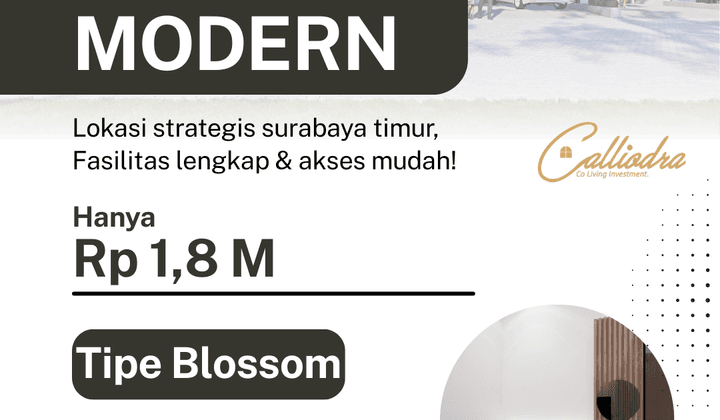 Calliodra Co Living " Garansi Paive Income 120 Juta / Tahun"