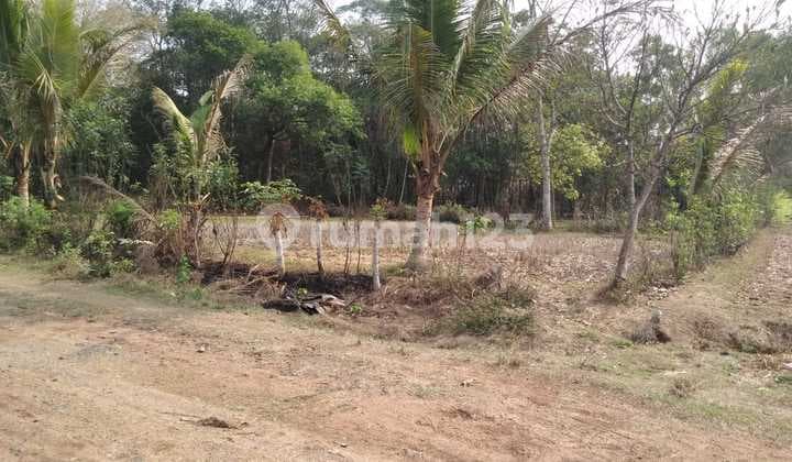Tanah Dijual di Tigaraksa, Tangerang