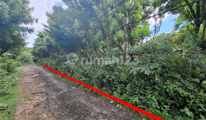 Land For Sale In Ungasan