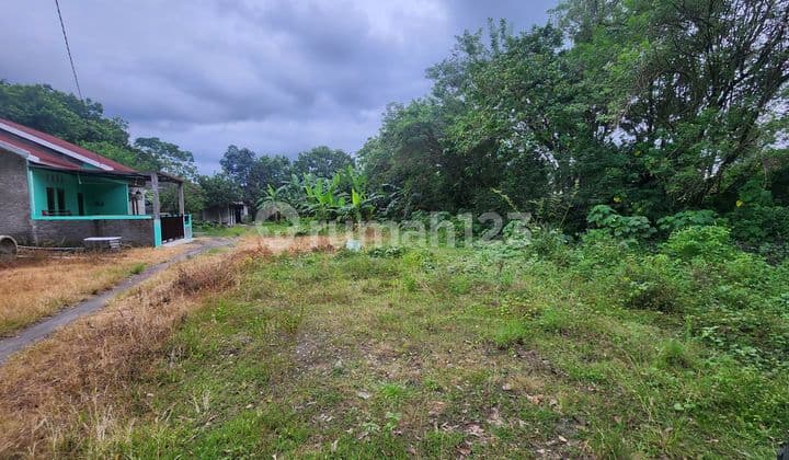 Tanah Pekarangan Strategis di Maguwoharjo Sleman