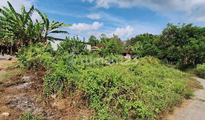 Tanah Pekarangan Hook Strategis Dekat Lapangan Kasihan