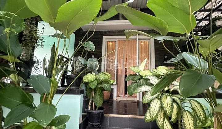 Rumah Mewah Strategis Gading Serpong Siap Huni