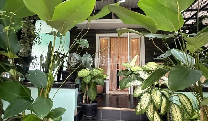 Rumah Mewah Strategis Gading Serpong Siap Huni