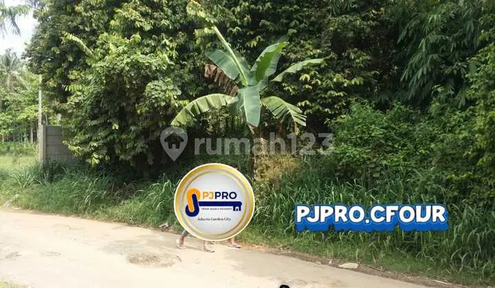 Tanah Bagus di Gunung Sindur Bogor