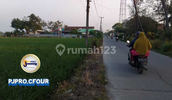 Tanah Bagus di Sukahurip, Sukatani Bekasi