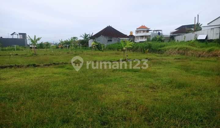 Promo Lahan Kavling Exclusive di Bongan Tabanan Kotainvestasi Kelas Atas