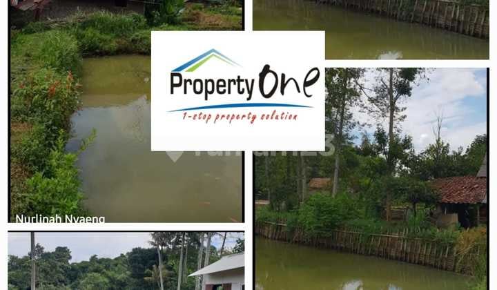 Jual Tanah Kavling bisa untuk Kolam Ikan di Gunung Sindur