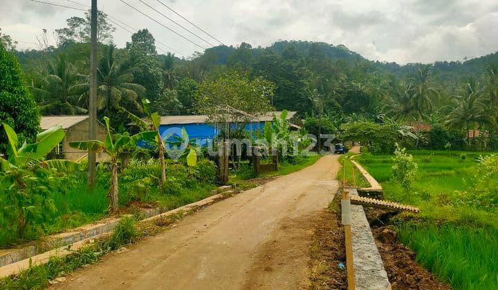 Jual Sawah Murah Panorama Indah