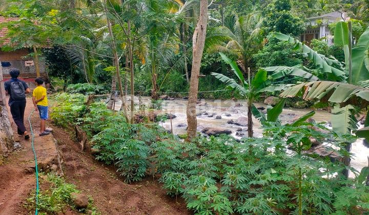 Jual Tanah Murah Serang