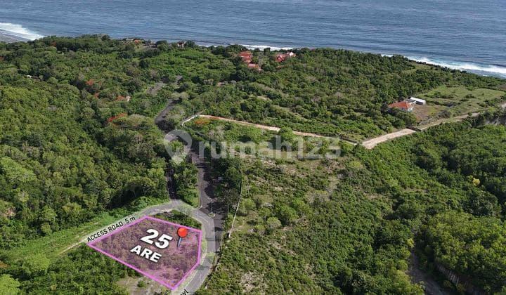 25 Are Freehold Land In Green Bowl With Ocean View