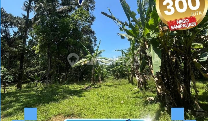 Jual Tanah Murah di Jepara