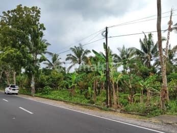 7.275M² Kebun Produktif di Antosari - Cokelat, Manggis & Pisang, Siap Panen & Investasi!