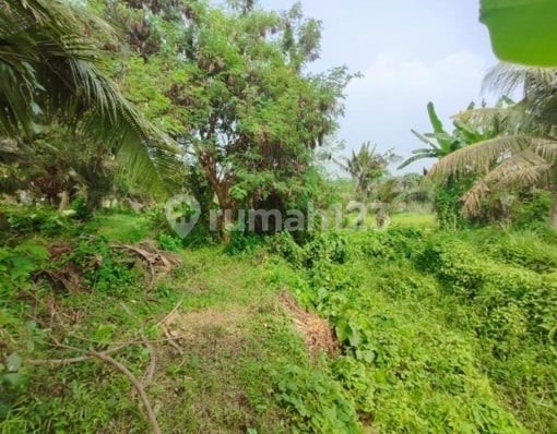 Sabaa Coast Opportunity - Kavling 340M²-3.720M², Siap Jadi Villa Cluster di Dekat Pantai!