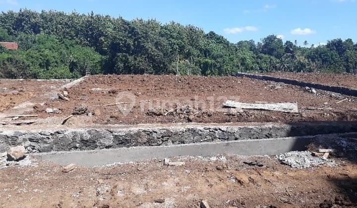 20 Kavling Strategis - Jalan 6 Meter, di Tengah Aktivitas Tabanan!