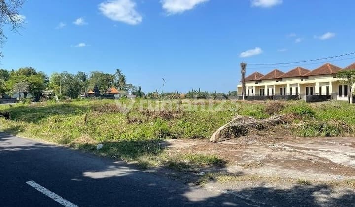 11 Kavling Siap Bangun di Bongan - SHM Pecah, Jalan 6M, Start 191 Juta-An!