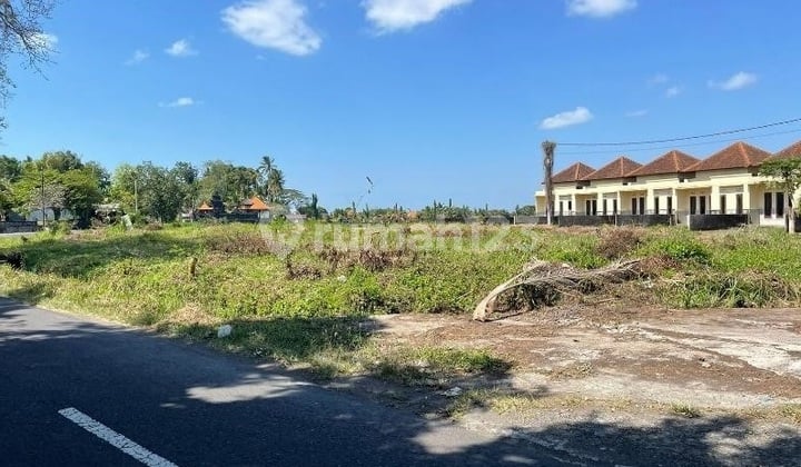 11 Kavling Siap Bangun di Bongan - SHM Pecah, Jalan 6M, Start 191 Juta-An!