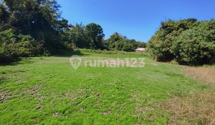 4.415M² Dekat Pantai Yeh Gangga - 200 Meter ke Laut, Siap Jadi Komplek Villa!