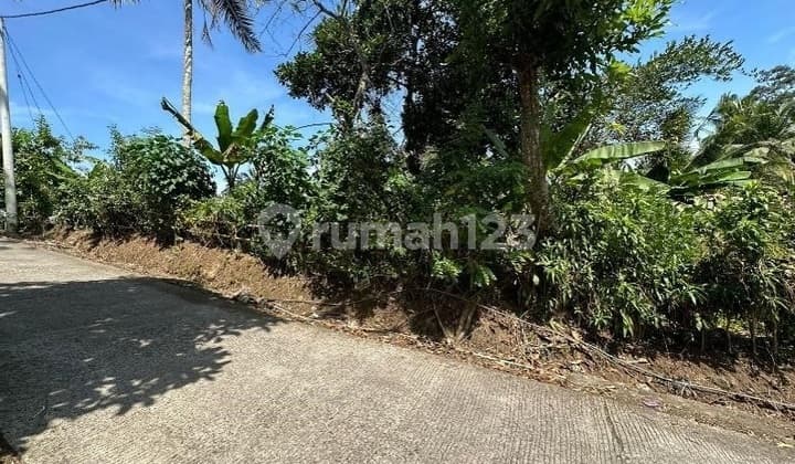 2.540M² Tanah Global di Mendoyo - Sekali Bayar, Punya Alamnya!