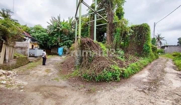 Buat Judul dan Deskripsi Dari Listing di Bawah Ini. Buat yang Sangat Menarik dan Out-Of-The-Box