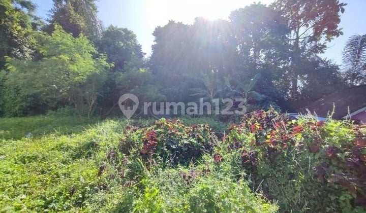 390M² di Taman Sekar - 4 SHM, Siap Jadi Cluster Mini atau Rumah Besar!