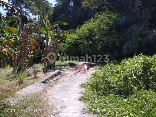 Kavling Mini Rasa Villa - Tenang, Sejuk & Dekat Sawah di Mengwi!