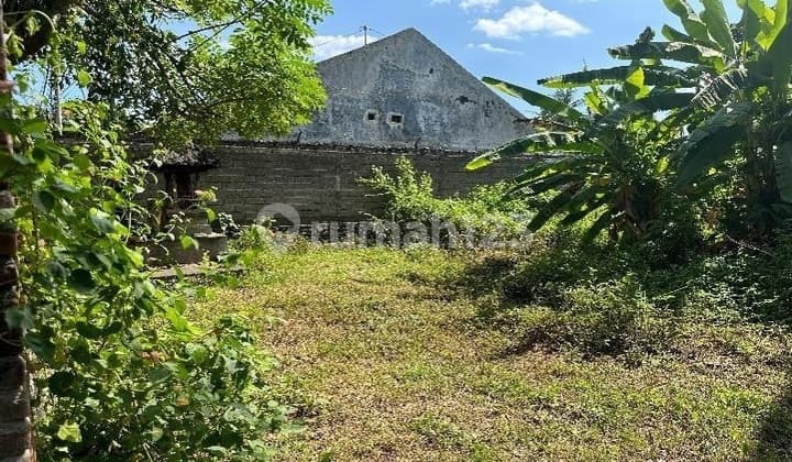 4.680M² Tepi Jalan Utama + 500 Meter ke Pantai! Anturan - Muka 32 Meter!