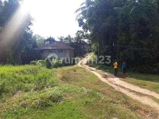 10.911M² di Wisnu Marga - bisa Kavling, bisa Borong Global!