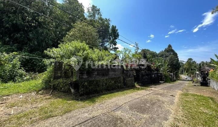 2.700M² di Penebel - View Senja, Legal Aman, Harga Global di Bawah 1M!